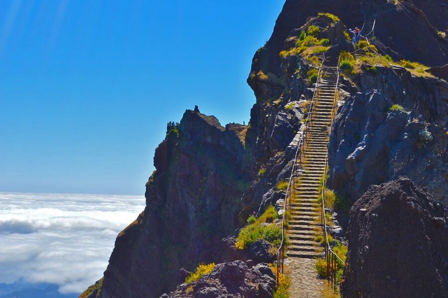 From Funchal: Madeira Peaks Mountain Walk - Key things to know before you lace up