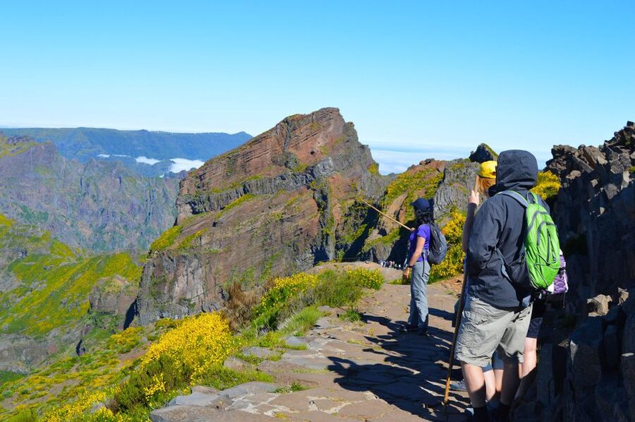 From Funchal: Madeira Peaks Mountain Walk - Why Pico Ruivo is the real reason to come