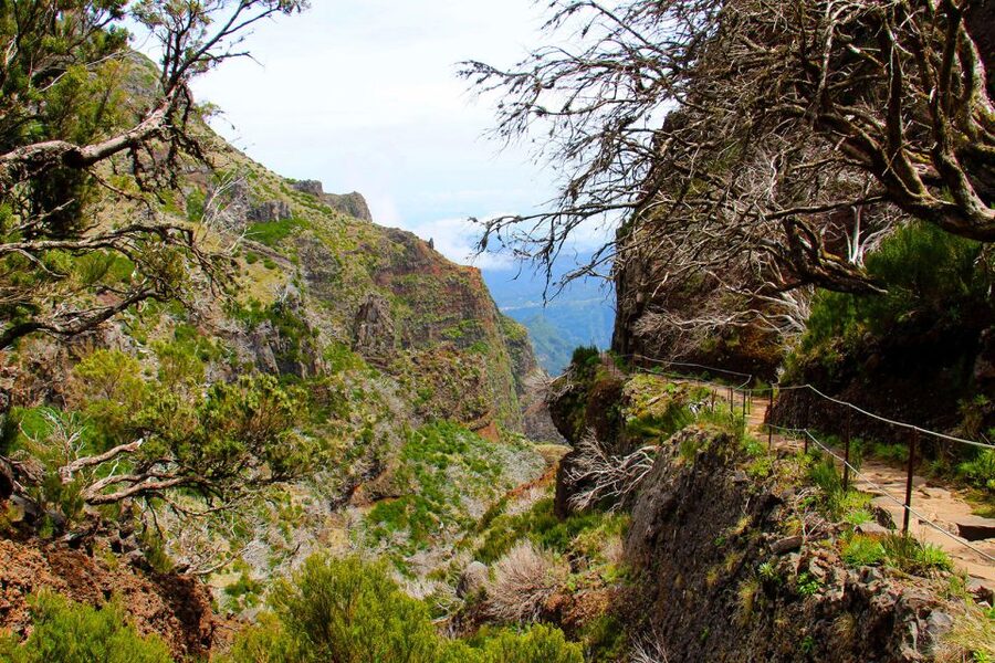 From Funchal: Madeira Peaks Mountain Walk - Value check: what $50 covers, and what you must handle