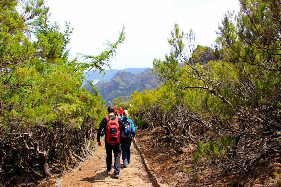 From Funchal: Madeira Peaks Mountain Walk - When weather changes your peak plan, and how the day still works