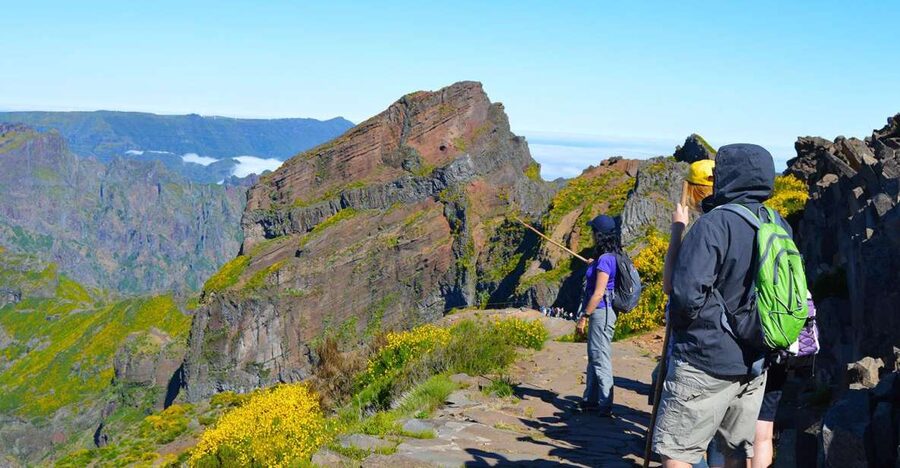 From Funchal: Madeira Peaks Mountain Walk - The 8-hour rhythm from Funchal to the peaks
