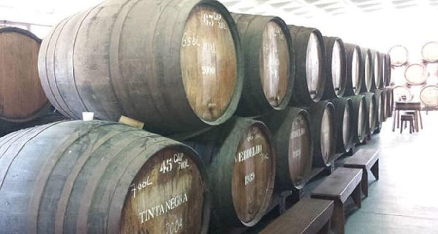 From Funchal: Madeira Wine Tour, Cable Car & Typical Lunch - Practical tips so the day feels easy, not rushed