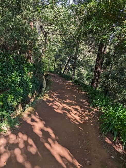 From Funchal: Pico Arieiro Sunrise with Optional Breakfast - Secret stop and breakfast at a refurbished old mill
