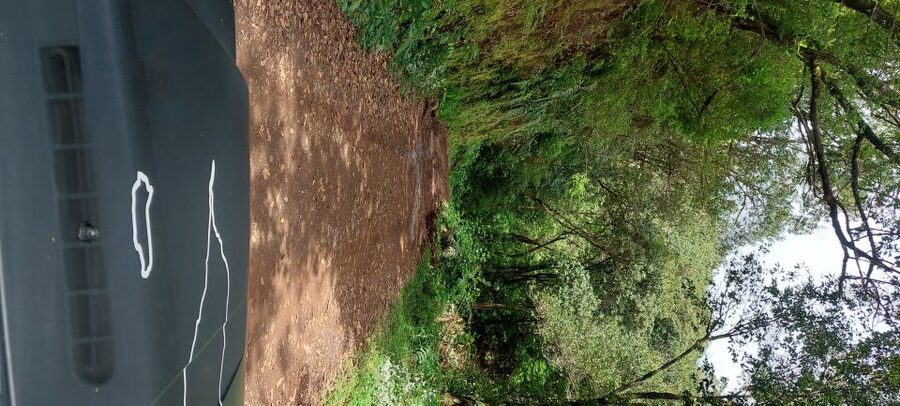 From Funchal: Pico Do Arieiro and Santana Full-Day 4x4 Tour - Key things to know before you go