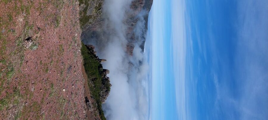 From Funchal: Pico Do Arieiro and Santana Full-Day 4x4 Tour - Ribeiro Frio and Cruzinhas: the Laurissilva Forest feel