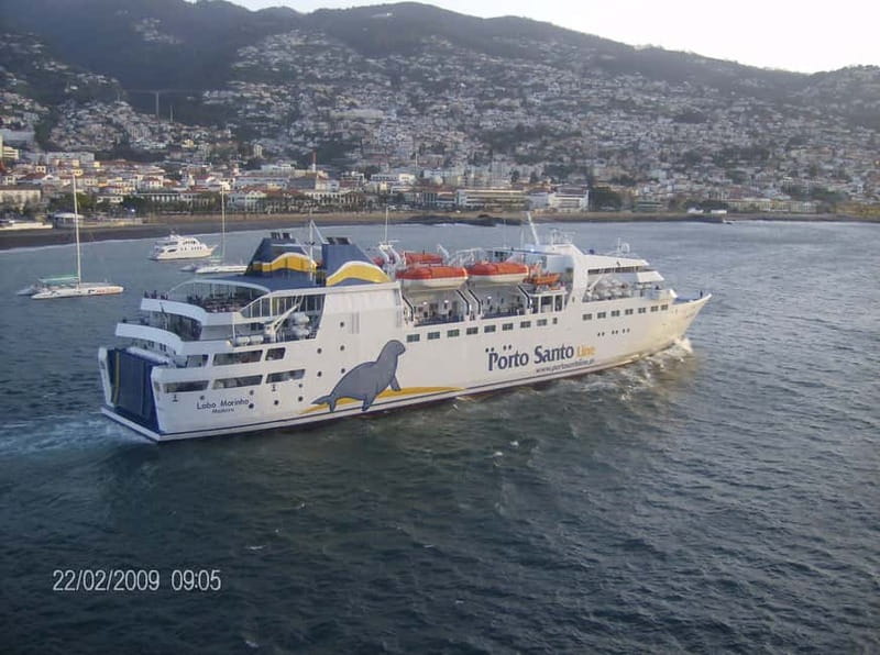 From Funchal: Porto Santo 1-Day Cruise and Tour - Why Porto Santo Feels Like a Different Island Day
