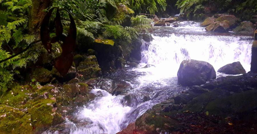 From Funchal: São Jorge Valleys Levada Walk - Key takeaways before you go
