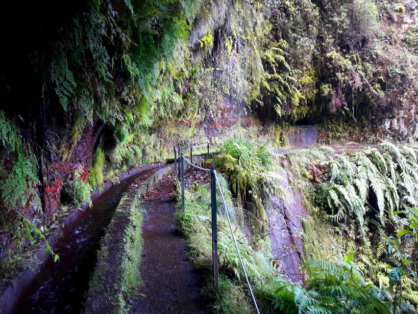 From Funchal: São Jorge Valleys Levada Walk - Should you book the São Jorge Valleys Levada Walk with Lido Tours?