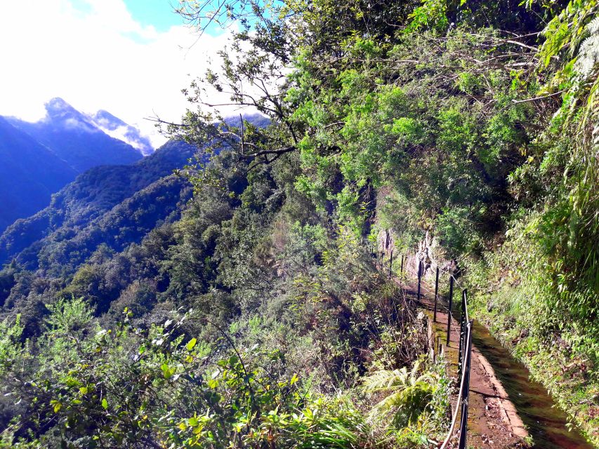 From Funchal: São Jorge Valleys Levada Walk - How the São Jorge Valleys day starts in Funchal