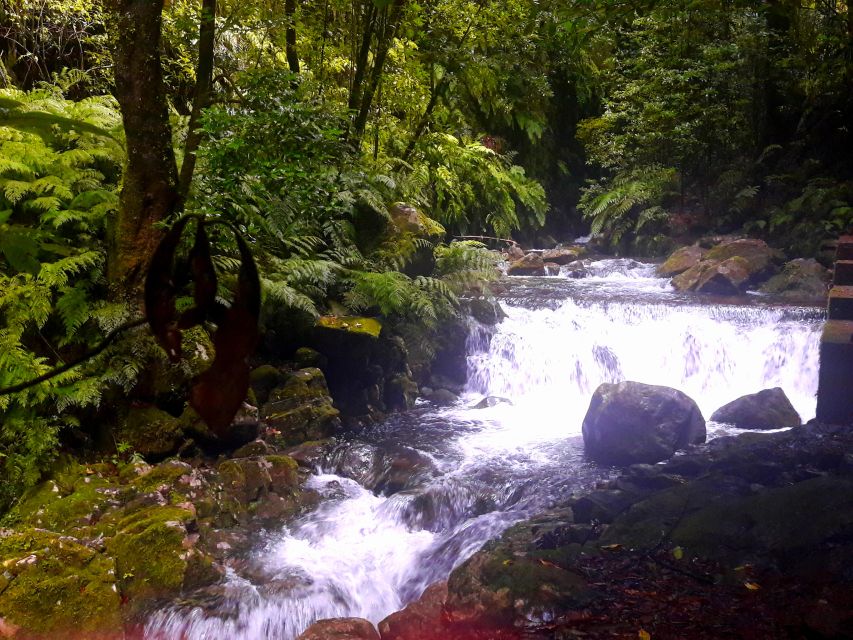 From Funchal: São Jorge Valleys Levada Walk - Timing, breaks, and how the return walk stays enjoyable