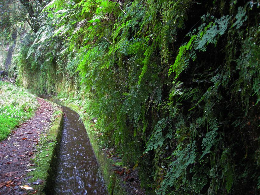 From Funchal: São Jorge Valleys Levada Walk - What to pack for wet levada steps and cool rainforest air