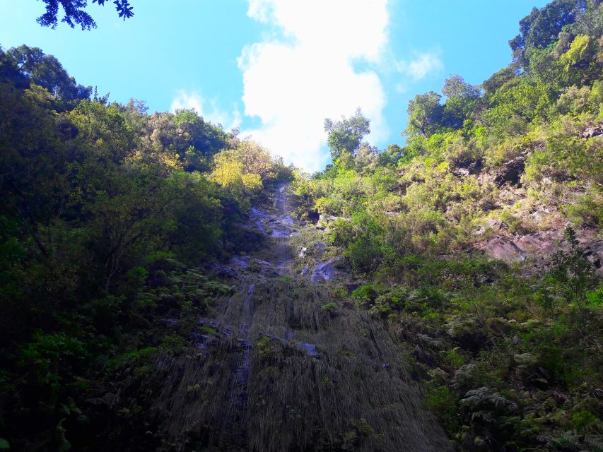 From Funchal: São Jorge Valleys Levada Walk - Price and value: is $50 a fair deal for 8 hours?