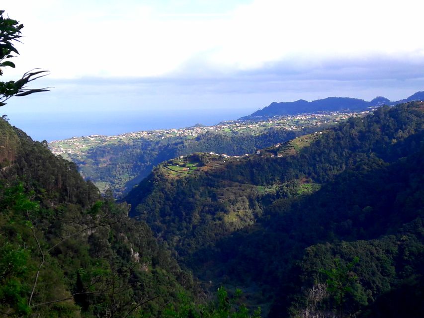 From Funchal: São Jorge Valleys Levada Walk - Who should book this São Jorge levada walk