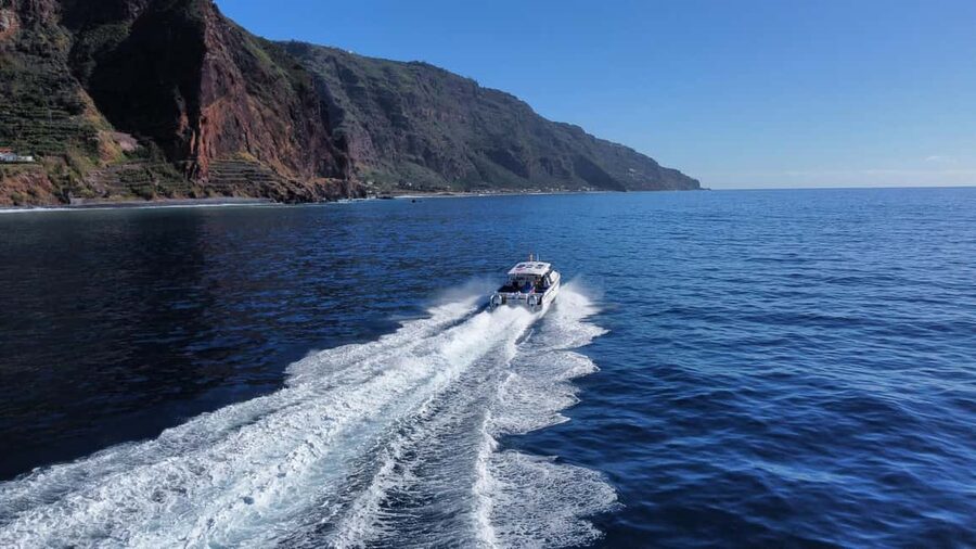 From Funchal: Scenic Coastal Cruise on a Modern Catamaran - What to Bring, What to Leave Behind, and Motion Sickness Reality