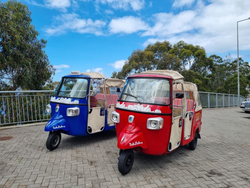 From Funchal: Tuk Tuk Tour to Camara de Lobos and Cabo Girao - Câmara de Lobos: Fishing Boats, Narrow Streets, and Real Madeira Mood
