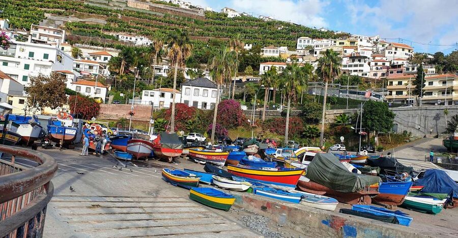 From Funchal: Tuk Tuk Tour to Camara de Lobos and Cabo Girao - Getting From Funchal to the Coast, Without Thinking Too Hard