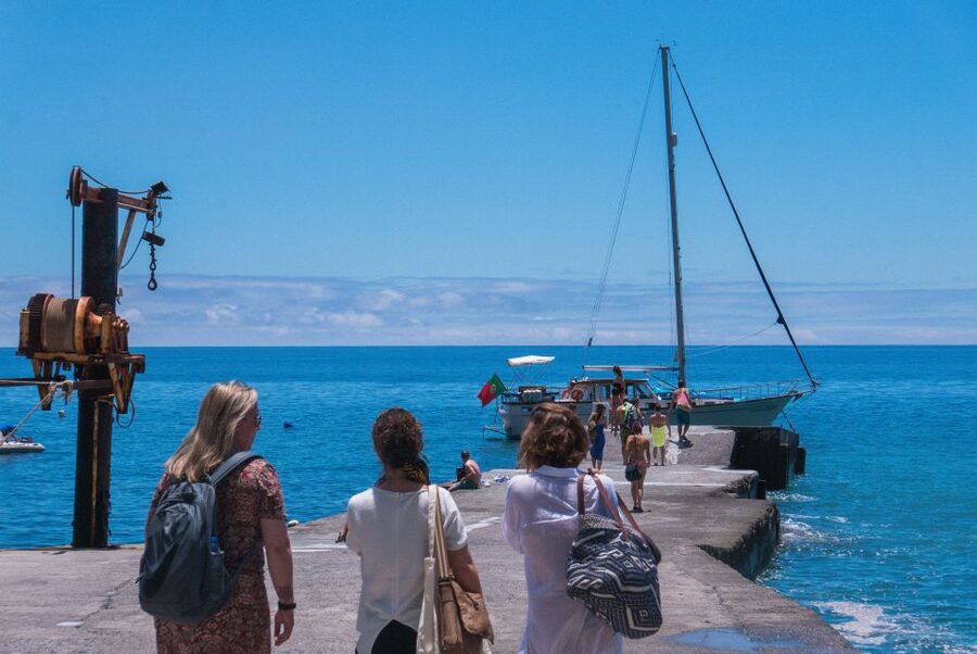 From Funchal: West Bays Sailing Tour with Lunch - The wildlife search up to 3 miles offshore: dolphins, whales, sea turtles
