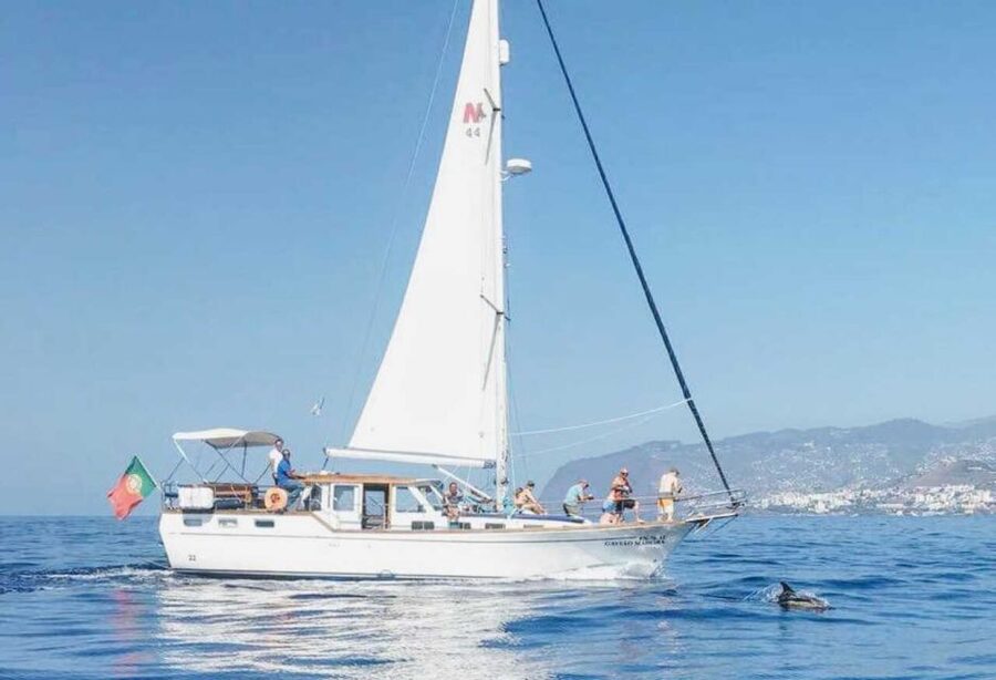 From Funchal: West Bays Sailing Tour with Lunch - From Marina do Funchal to open water: the onboard vibe and what to expect