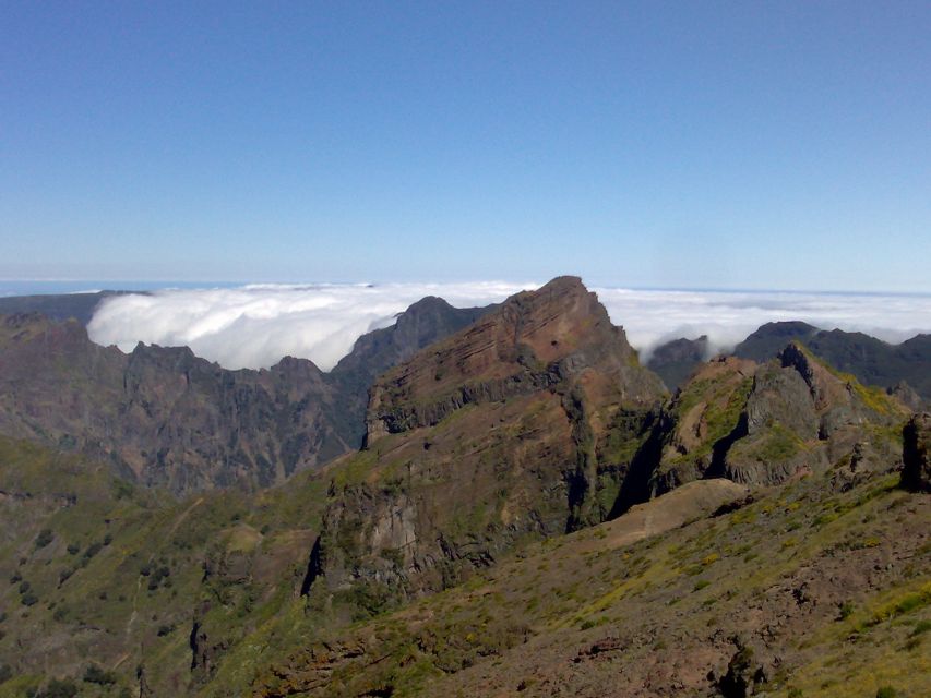 From Funchal: West Madeira Waterfalls and Fanal Forest Tour - Porto Moniz: natural sea pools, lunch choices, and the aquarium