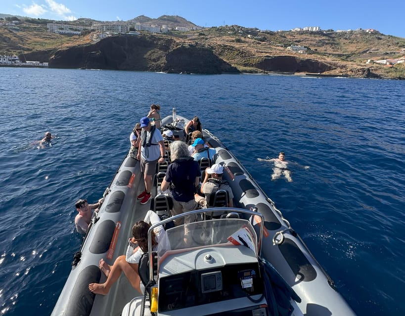From Funchal: Whale and Dolphin Watching - Who should book this Madeira cetacean cruise