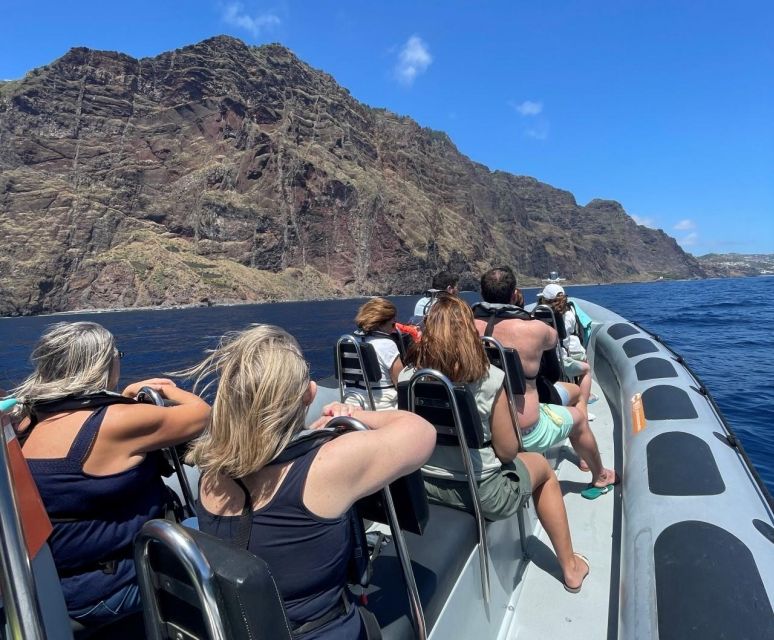 From Funchal: Whale and Dolphin Watching - What the marine biologist brings to the trip (beyond facts)
