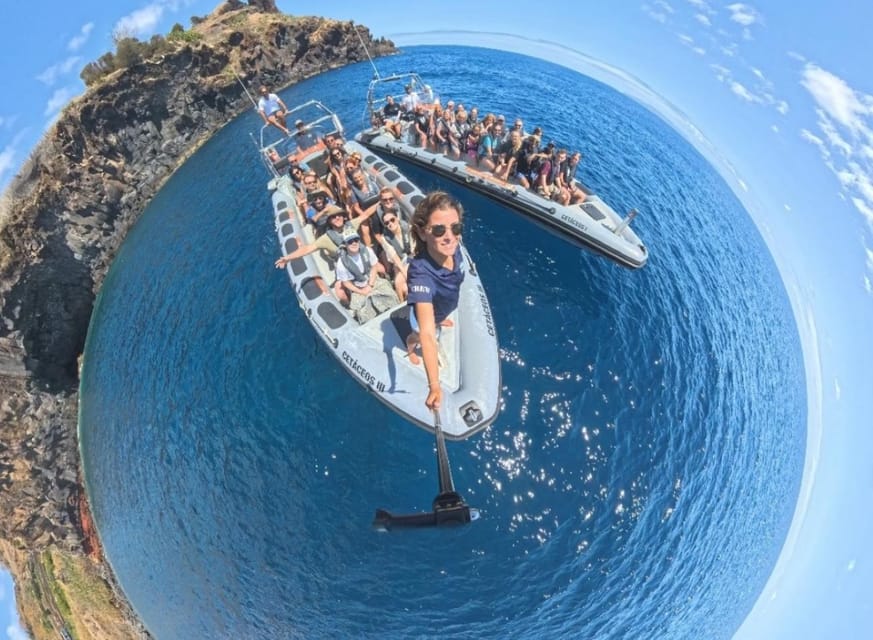 From Funchal: Whale and Dolphin Watching - Timing on the water and what the stops feel like