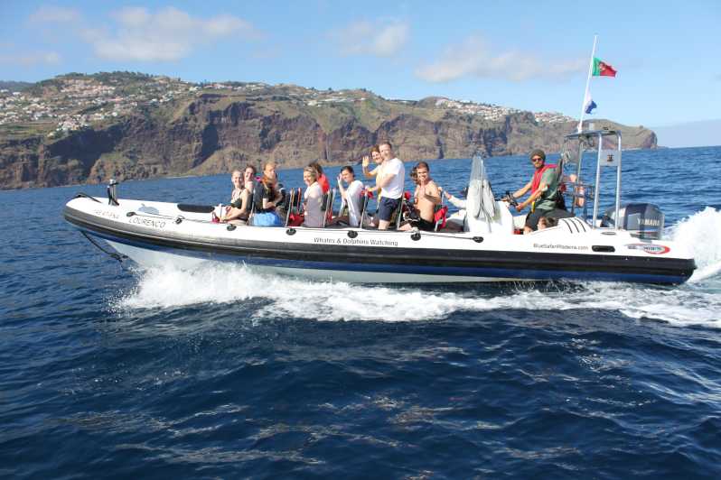 From Funchal: Whales and Dolphin Adventure Tour - A 2-Hour Speedboat Hunt That Feels Personal