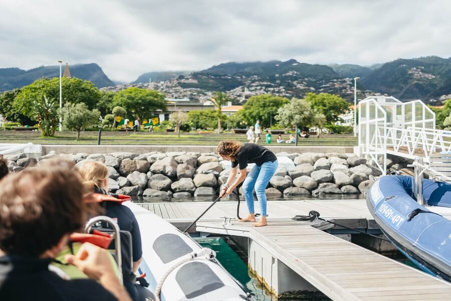 From Funchal: Whales and Dolphin Adventure Tour - Getting To Blue Safari Madeira Without Stress