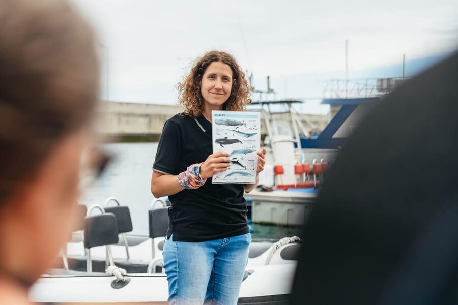 From Funchal: Whales and Dolphin Adventure Tour - Whale Moments: Rare Timing, Big Reward
