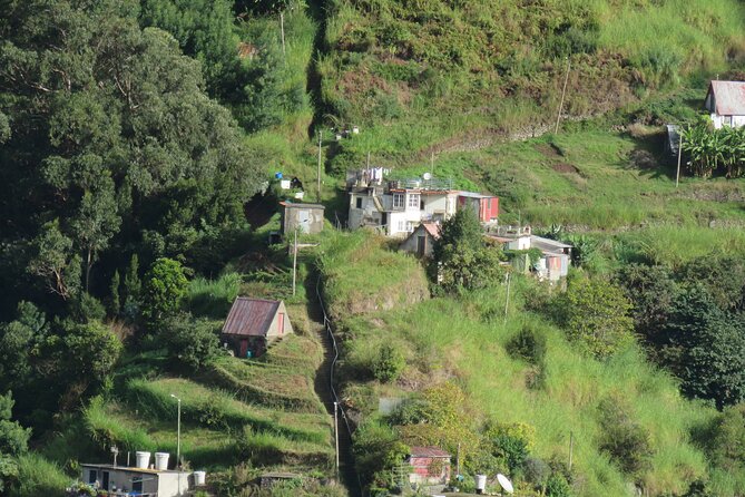 Full Day Guided Tour in Madeira Islands - Santana’s Casas de Colmo: traditional thatched houses and local food