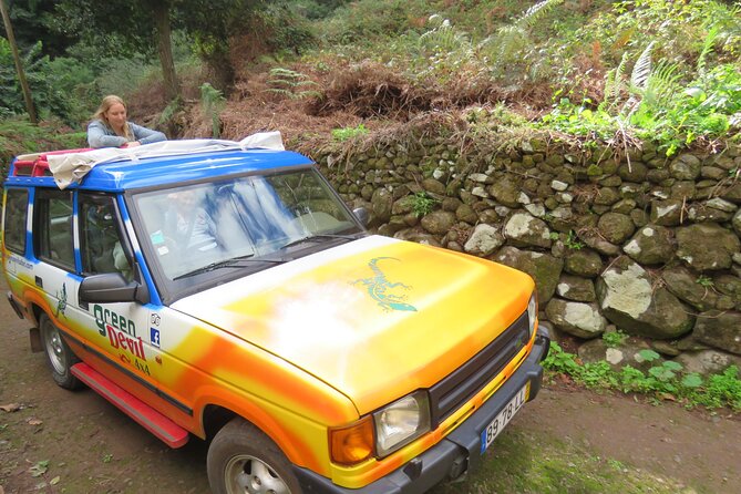 Full Day Guided Tour in Madeira Islands - Ribeiro Frio and Pico do Arieiro: mountain air and big viewpoints
