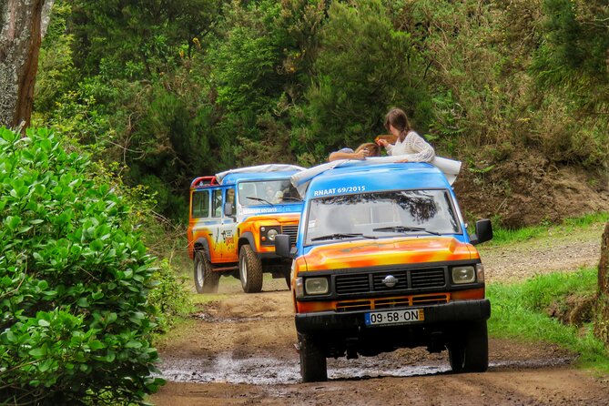 Full Day Guided Tour to The Charms of Northeast Madeira - Praia de São Vicente and the coastline feel of the north
