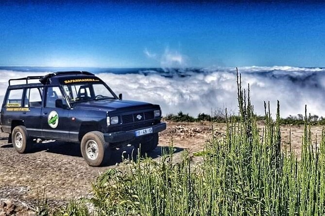 Full Day Jeep Safari East - Pico do Areeiro - Santana - Ponta de são Lourenço - Pico do Arieiro and Balcões: Madeira’s High Views Plus a Short Levada Walk