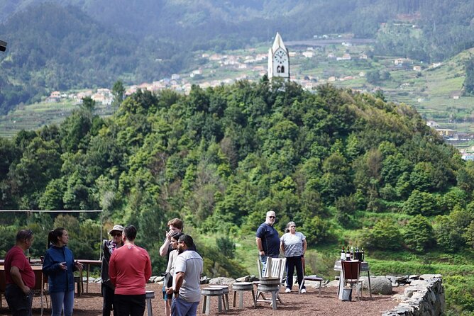 Full-Day Madeira Wine Tasting Tour with Lunch - Key highlights you should care about