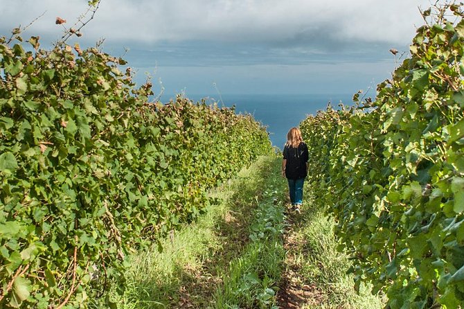 Full-Day Madeira Wine Tasting Tour with Lunch - São Vicente: volcanic cave country and first tastings