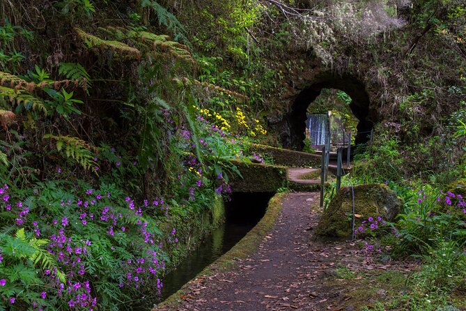 Full Day of Wonders: Madeira 4x4 Private Tour - Who this Madeira 4x4 tour is best for