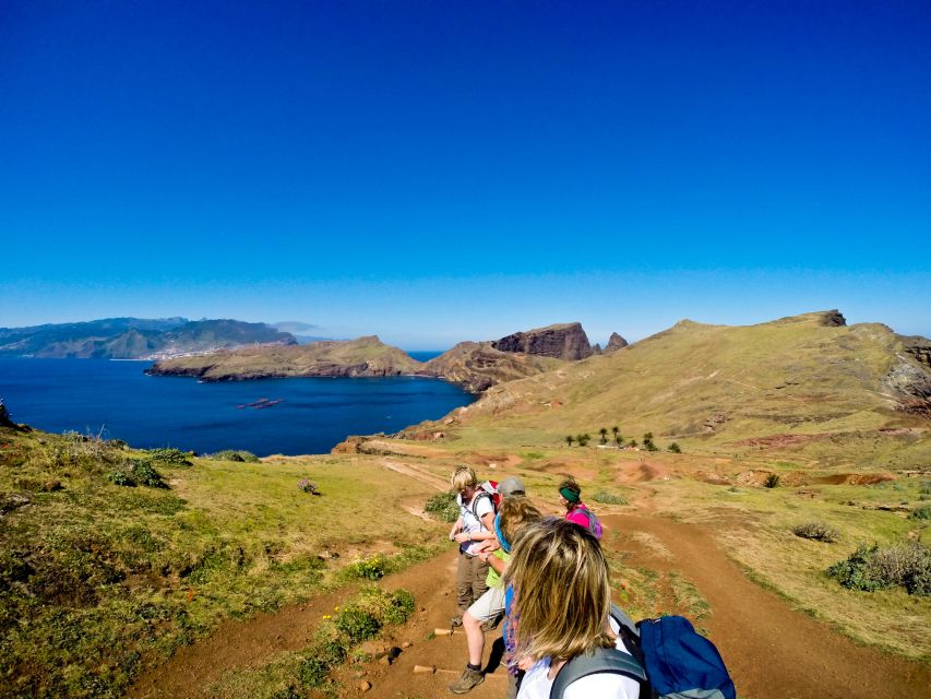 Full Day Ponta de São Lourenço - Natural Reserve - Plants that make this hike educational, not just scenic