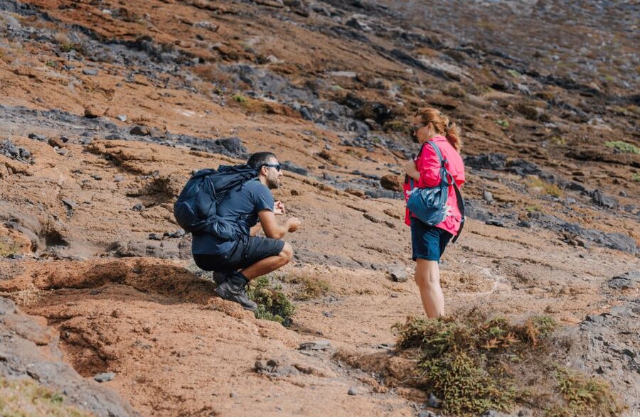 Full Day Ponta de São Lourenço - Natural Reserve - Deserted Islands and Porto Santo: the weather question you should take seriously