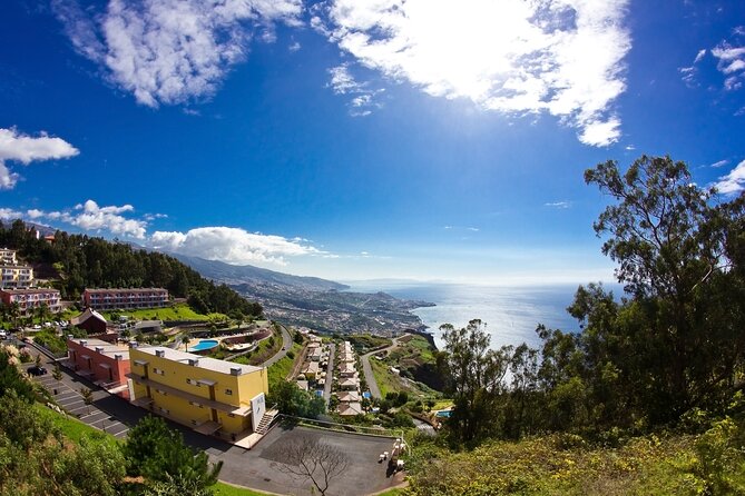 Full-Day Porto Moniz Madeira Island Tour - Price, Timing, and What You Get for $48.19