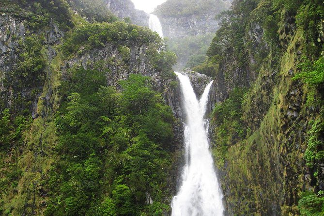 Full-Day Rabaçal Levada Walk from Funchal - Madeira’s levadas: why this walk feels so special