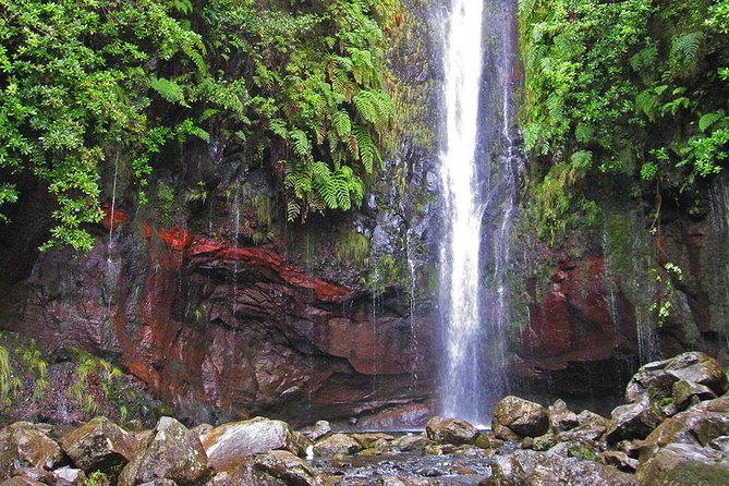 Full-Day Rabaçal Levada Walk from Funchal - Levada das 25 Fontes and the cliffside spring lake