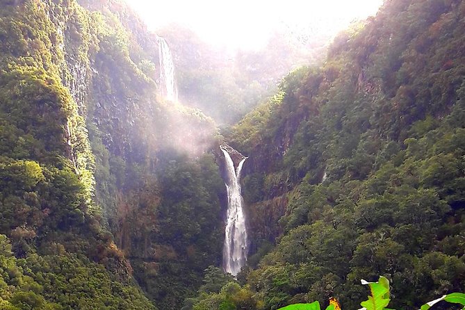Full-Day Rabaçal Levada Walk from Funchal - Guide energy: why the day feels smoother with Sara, Charlotte, and Ruby