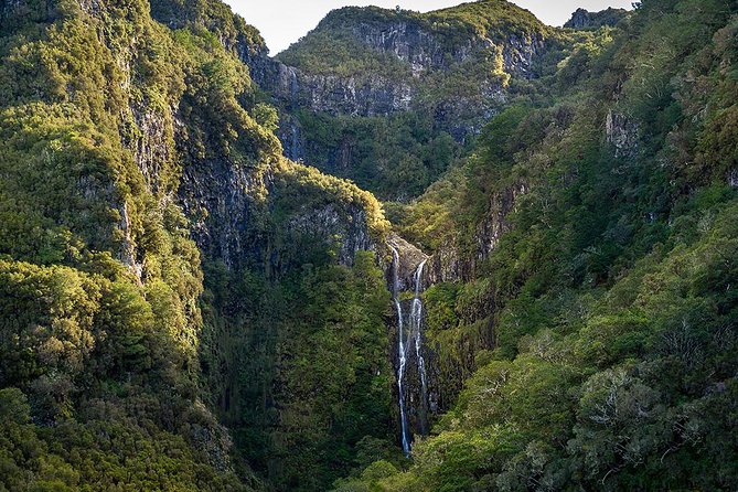 Full-Day Rabaçal Levada Walk from Funchal - Paul da Serra to Cascada da Risco: the descent that sets the tone