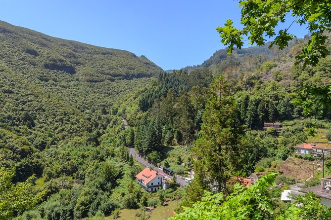 Full-Day Santana Madeira Island Tour - Price and value, why $48.06 can feel like a bargain on Madeira
