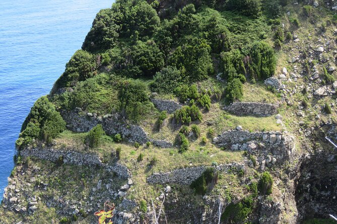 Full Day Tour in 4x4 Jeep to Porto Moniz and Fanal - Paul da Serra plateau stops: open air after the forest