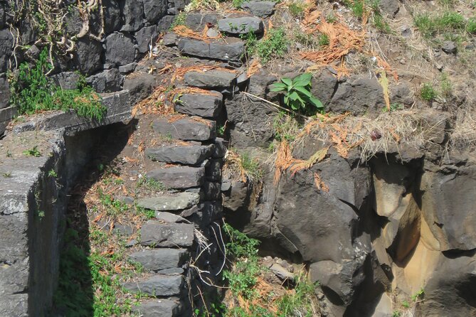 Full Day Tour in 4x4 Jeep to Porto Moniz and Fanal - Serra de Água and Tabua: quick villages, real Madeiran pace