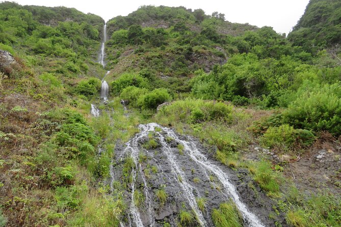 Full Day Tour in Porto Moniz with the Locals - How the northwest of Madeira changes your trip