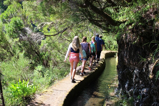 Full Day Tour in Porto Moniz with the Locals - The downhill mood switch near Curral Falso