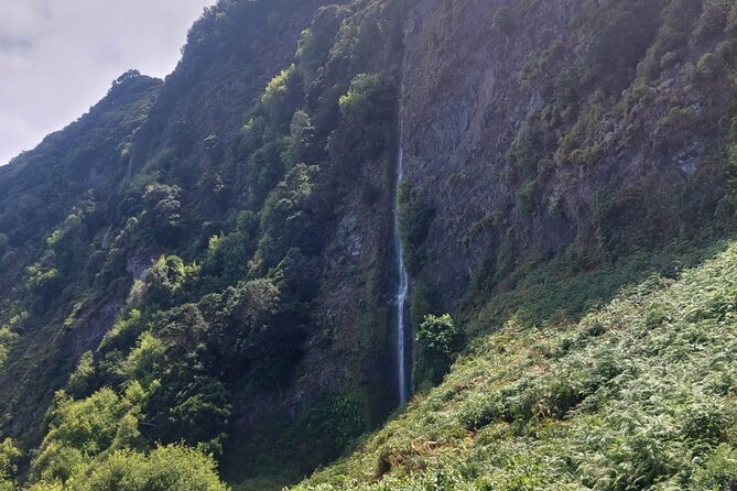 Full day West Adventure Jeep Tour in Madeira Portugal - Sao Vicente Waterfalls and the Fanal Forest of Centenary Trees