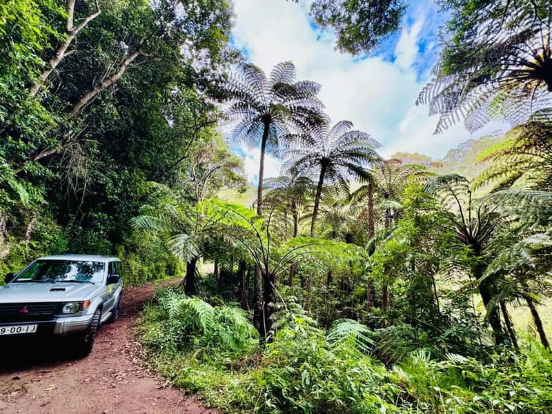 Funchal: 4x4 Jeep Trip to the East and Northeast of Madeira - 6 key things you will do on this Madeira 4x4 day
